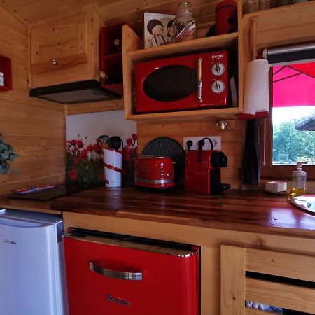 La Roulotte Du Cagire - 4 Pers - Pyrenees Pensionat Villeneuve-de-Rivière Eksteriør billede